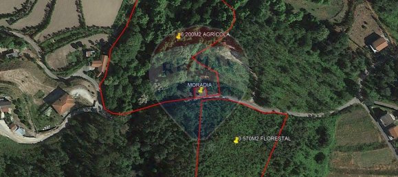 9 bedrooms House in Vale de Bouro, Portugal No. 37490 28