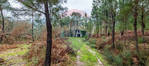 9 bedrooms House in Vale de Bouro, Portugal No. 37490 20