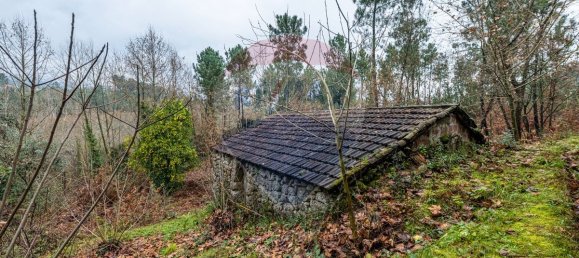 9 bedrooms House in Vale de Bouro, Portugal No. 37490 21