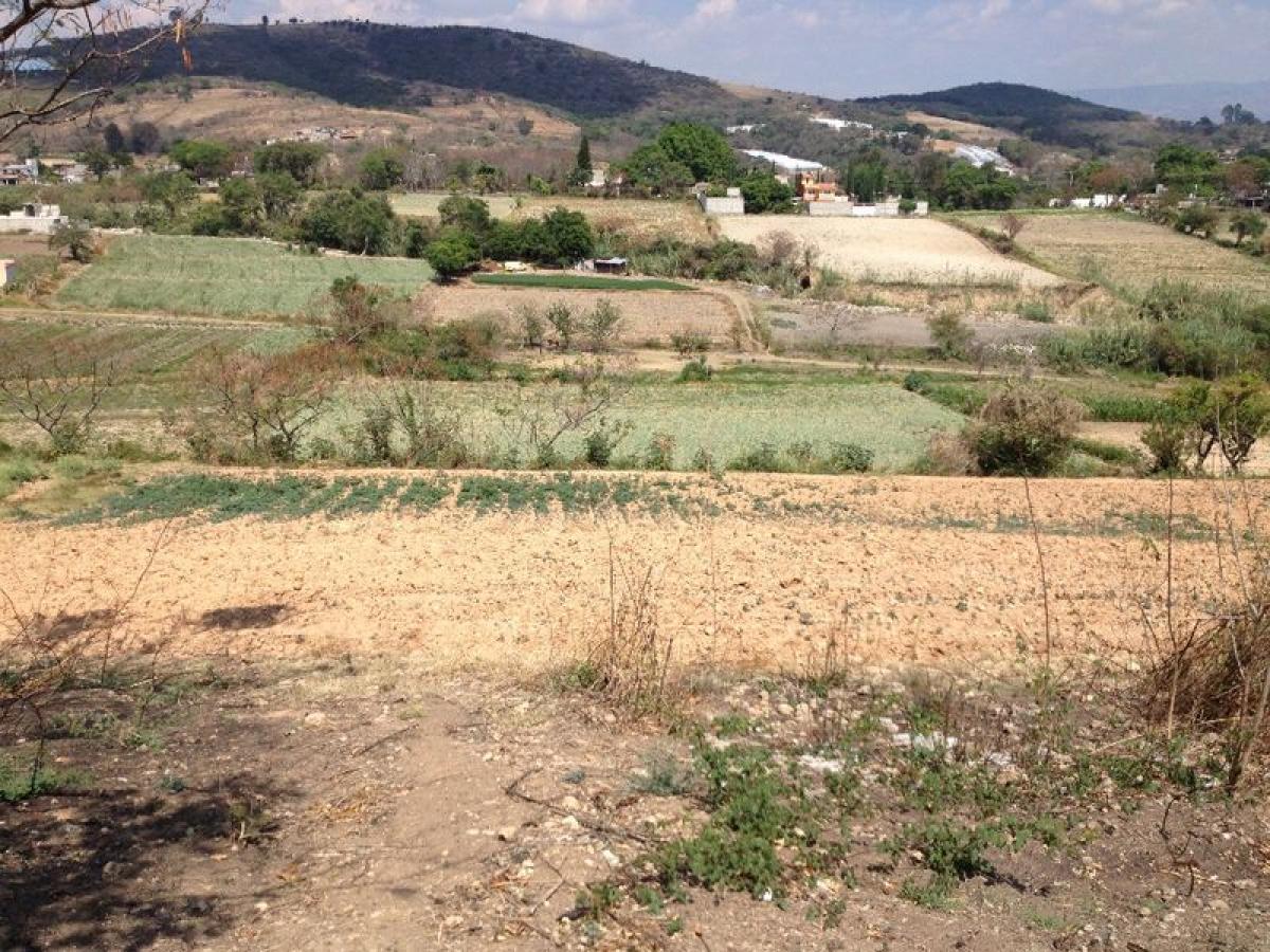  Land in Tonatico, Mexico No. 205955