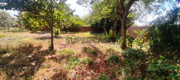 3 Schlafzimmer Haus in Aveiro, Portugal, Nr. 313426 48