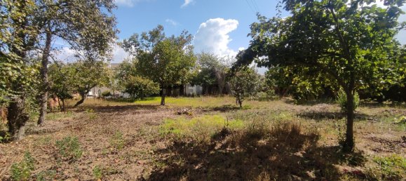 3 Schlafzimmer Haus in Aveiro, Portugal, Nr. 313426 47