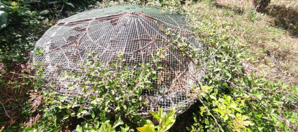 3 Schlafzimmer Haus in Aveiro, Portugal, Nr. 313426 46