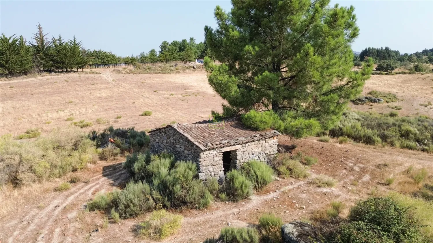  قطعة أرض في Aranhas, Portugal رقم 302069