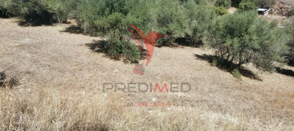  قطعة أرض في Alcanena, Portugal 829متر مربع رقم 62233 17