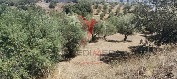  قطعة أرض في Alcanena, Portugal 829متر مربع رقم 62233 15