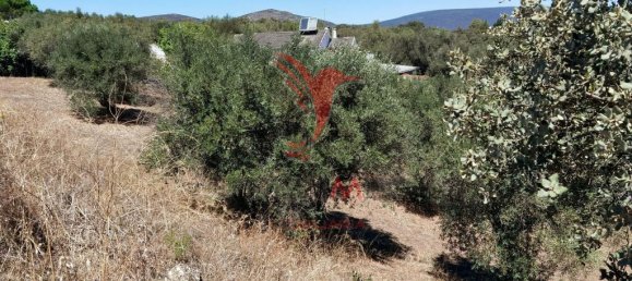  قطعة أرض في Alcanena, Portugal 829متر مربع رقم 62233 8