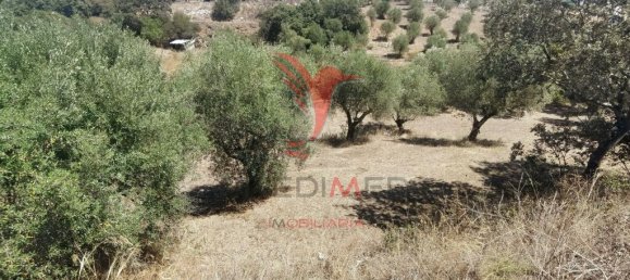  قطعة أرض في Alcanena, Portugal 829متر مربع رقم 62233 16