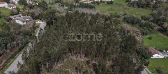  Land in Vila Nova de Poiares, Portugal No. 159270 7