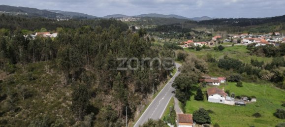 Land in Vila Nova de Poiares, Portugal No. 159270 13