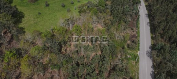  Land in Vila Nova de Poiares, Portugal No. 159270 10