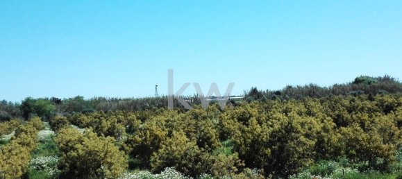 Terreno de 5 dormitorios en Faro, Portugal No. 111756 3