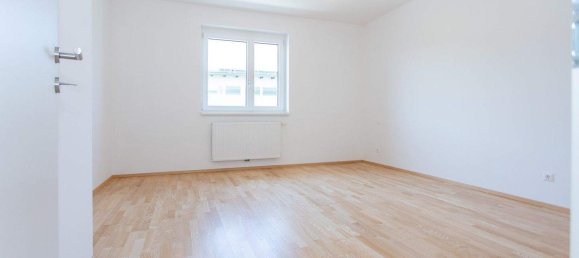 2 rooms Apartment in Kirnberg an der Mank, Austria No. 154197 8