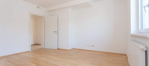 2 rooms Apartment in Kirnberg an der Mank, Austria No. 154197 9