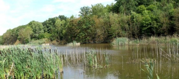 Grundstück in Mansfeld-Südharz, Germany, Nr. 279628 6