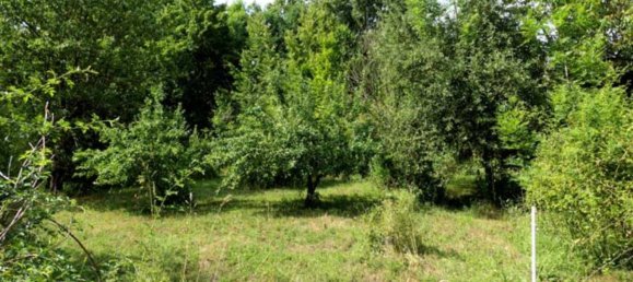 Grundstück in Mansfeld-Südharz, Germany, Nr. 279628 10