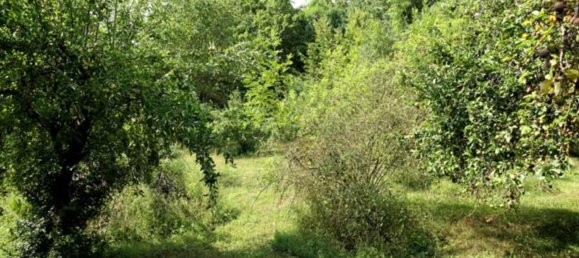 Grundstück in Mansfeld-Südharz, Germany, Nr. 279628 9