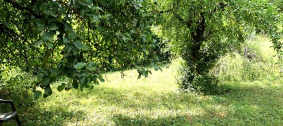 Grundstück in Mansfeld-Südharz, Germany, Nr. 279628 2