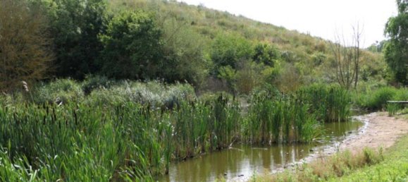 Grundstück in Mansfeld-Südharz, Germany, Nr. 279628 8