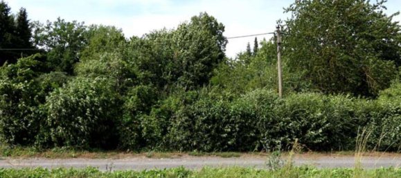 Grundstück in Mansfeld-Südharz, Germany, Nr. 279628 3