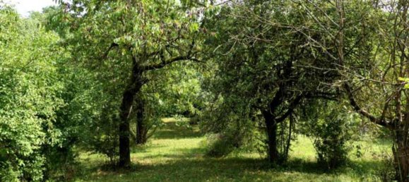 Grundstück in Mansfeld-Südharz, Germany, Nr. 279628 15