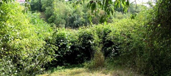 Grundstück in Mansfeld-Südharz, Germany, Nr. 279628 16