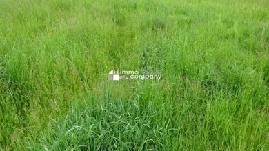  Land in Horn, Austria No. 151118