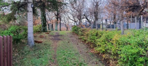 6 rooms Villa in Castel del Piano, Italy No. 251657 19