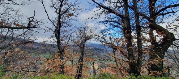 6 rooms Villa in Castel del Piano, Italy No. 251657 16