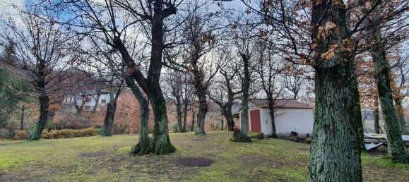 6 rooms Villa in Castel del Piano, Italy No. 251657 18