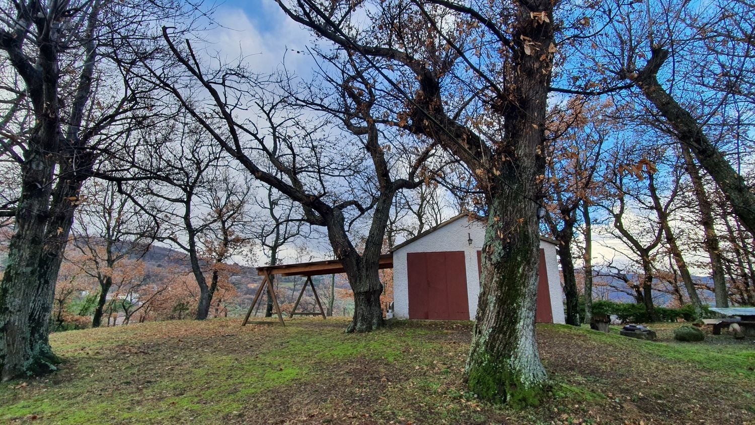 6 rooms Villa in Castel del Piano, Italy No. 251657