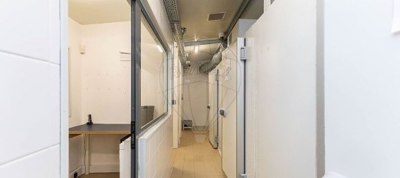 Imóvel comercial em Matosinhos, Portugal 177 m² N.º 81879 22