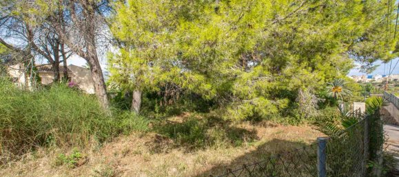 Grundstück in Javea, Spain, Nr. 8511 2