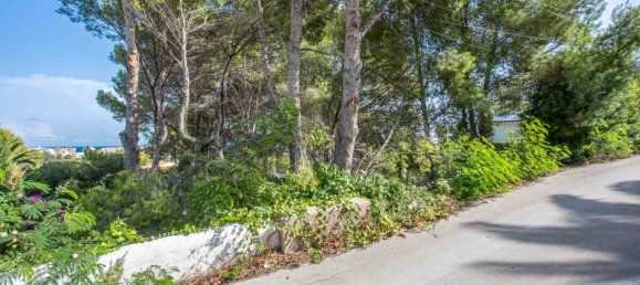 Grundstück in Javea, Spain, Nr. 8511 5