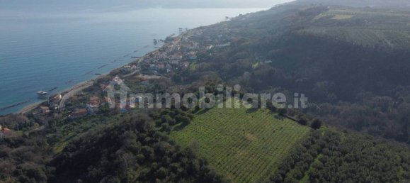 Casa de 2 dormitorios en San Vito Chietino, Italy No. 212483 22