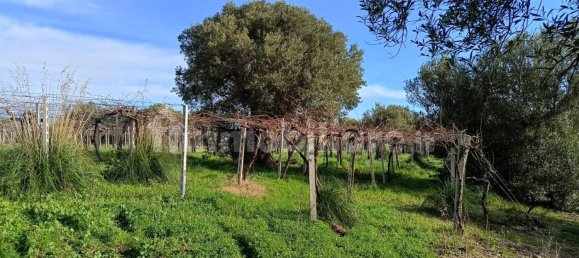 Casa de 2 dormitorios en San Vito Chietino, Italy No. 212483 25