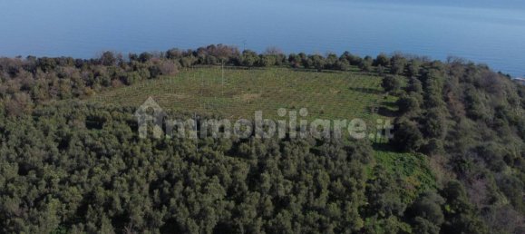 Casa de 2 dormitorios en San Vito Chietino, Italy No. 212483 21