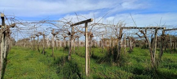 Casa de 2 dormitorios en San Vito Chietino, Italy No. 212483 2