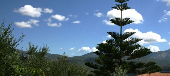 Imóvel comercial T12 em Magnesia, Greece N.º 5824 8