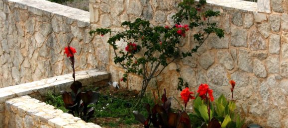 Imóvel comercial T12 em Magnesia, Greece N.º 5824 6