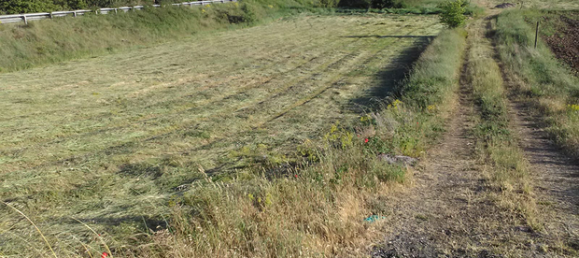 2000m² Land in Pignola, Italy No. 291230 3