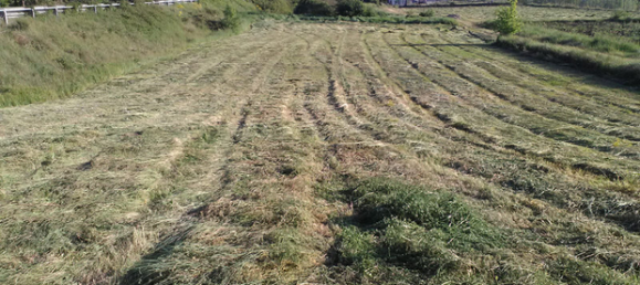 2000m² Land in Pignola, Italy No. 291230 2
