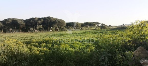 5296m² Land in Sintra, Portugal No. 66861 4