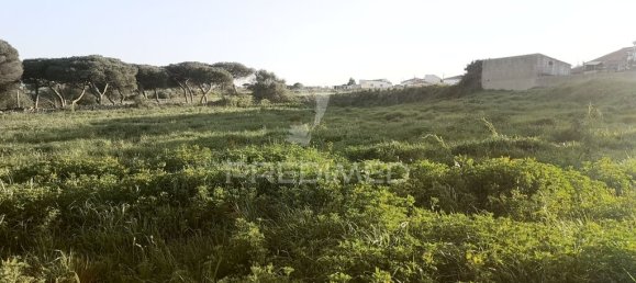 5296m² Land in Sintra, Portugal No. 66861 10