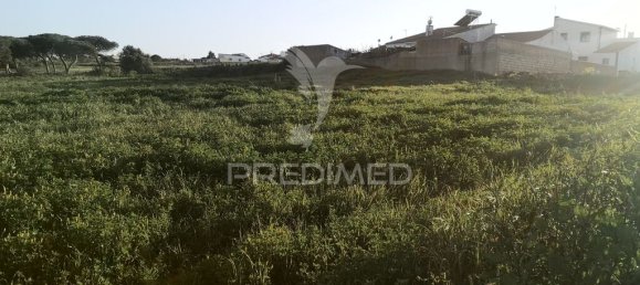 5296m² Land in Sintra, Portugal No. 66861 6