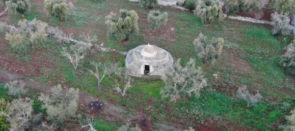 Studio in Carovigno, Italy No. 164890 20