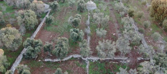 Studio in Carovigno, Italy No. 164890 17