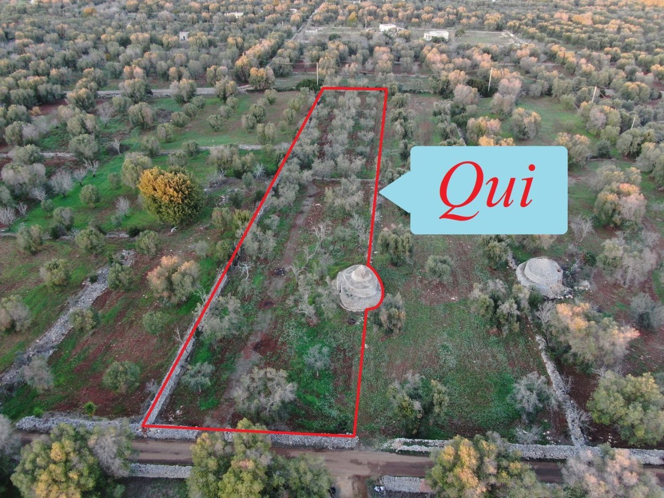 Studio in Carovigno, Italy No. 164890