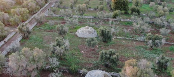 Studio in Carovigno, Italy No. 164890 22