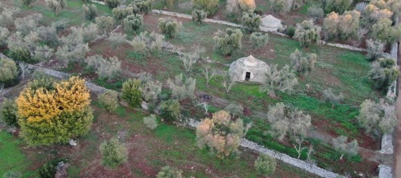 Studio in Carovigno, Italy No. 164890 18